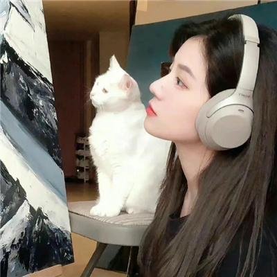 庙街故事